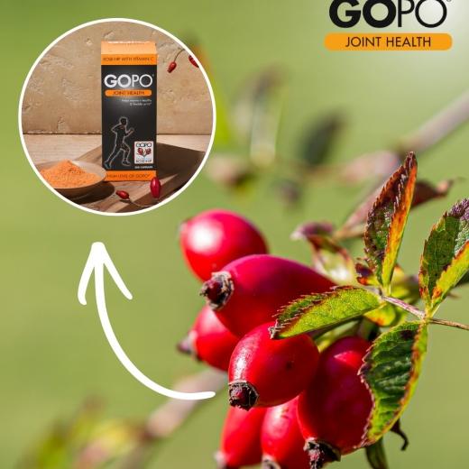 Did you know that rose-hip helps... 
