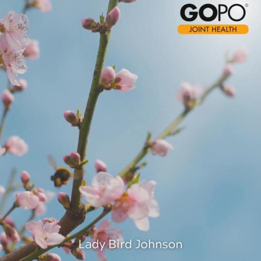 As spring blooms around us, it’s... 