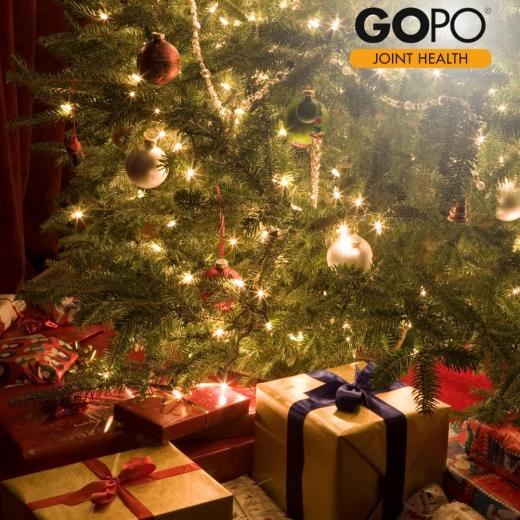 From the whole GOPO® Joint Health... 