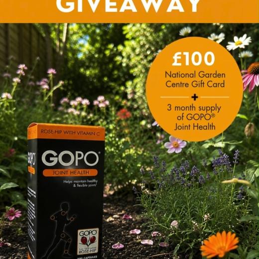 🧡GIVEAWAY🧡 Nothing says summer... 