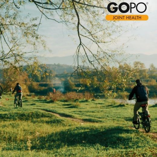 The knees are one of the largest... 